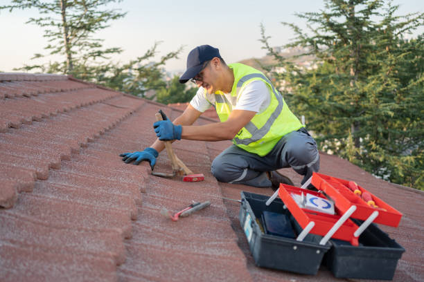 Best Roof Ventilation Installation  in Ocoee, FL